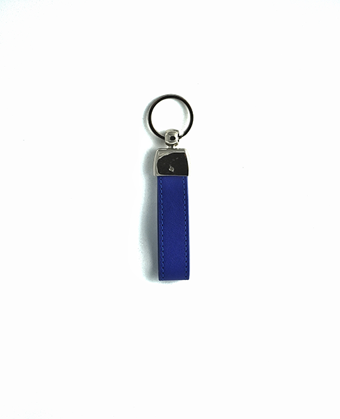 Fascin Blue(keyholder)